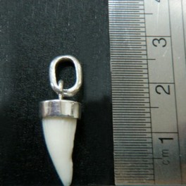 CROC TOOTH PENDANT SMALL